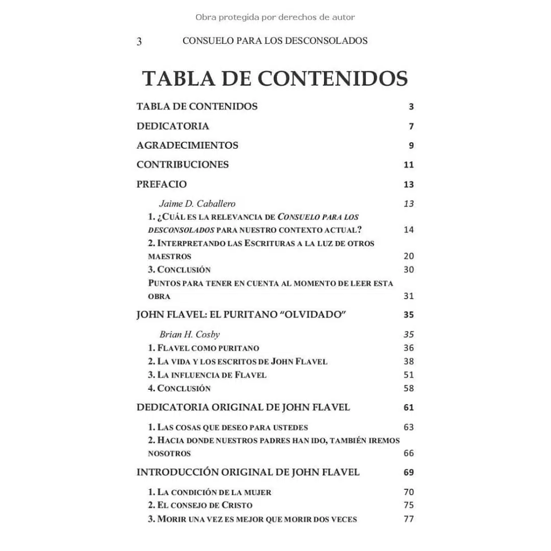 Consuelo para los desconsolados 9786124820410 Consuelo para los desconsolados - Imagen 2