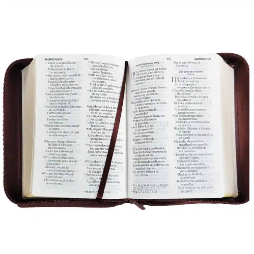 Biblia para Premios y Regalos Reina Valera 1960, Letra Grande, Símil Piel, Cierre, Marron 9798893845358 Biblia para Premios y Regalos Reina Valera 1960, Letra Grande, Símil Piel, Cierre, Marron - Imagen 4