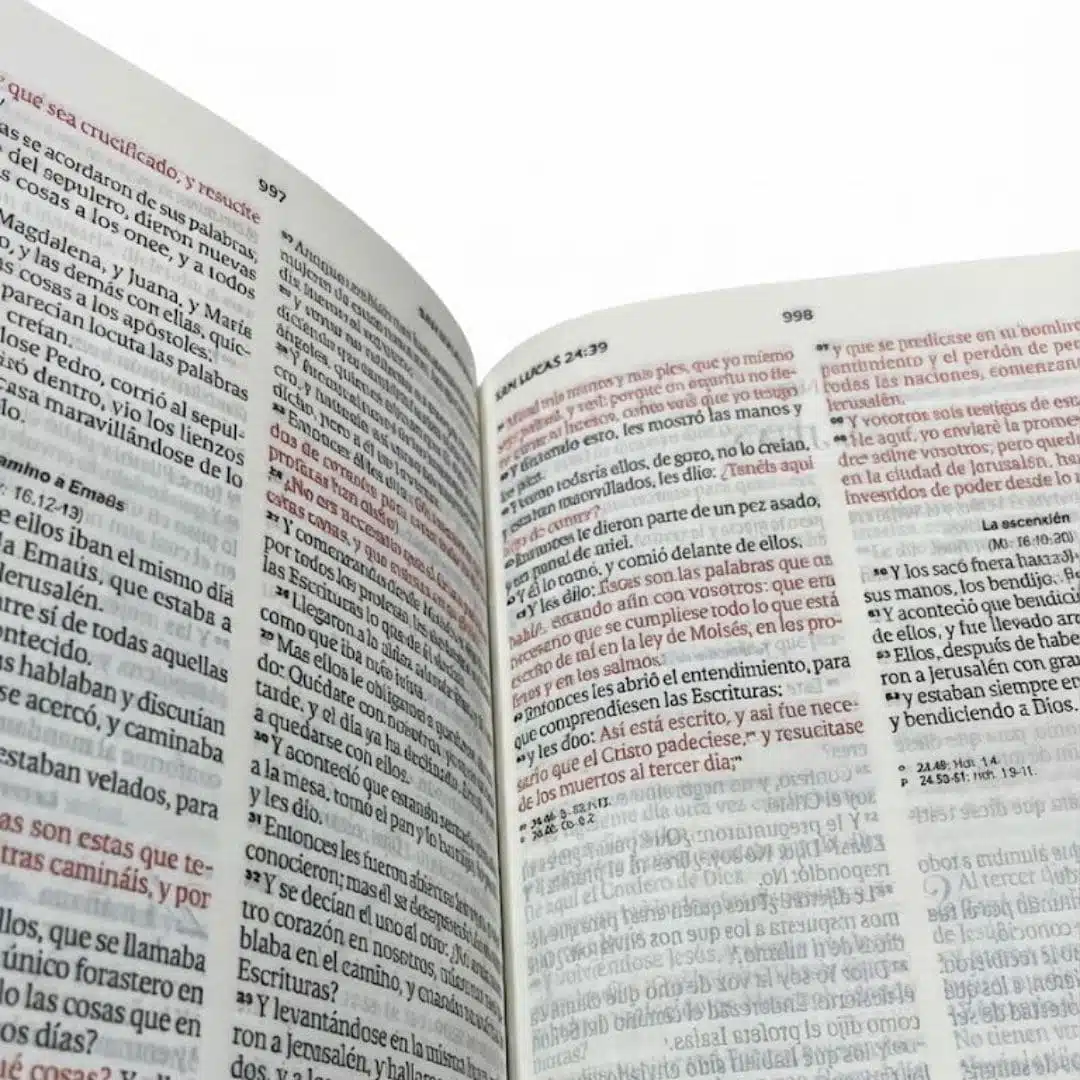 Biblia para Premios y Regalos Reina Valera 1960, Letra Grande, Símil Piel, Cierre, Marron 9798893845358 Biblia para Premios y Regalos Reina Valera 1960, Letra Grande, Símil Piel, Cierre, Marron - Imagen 5