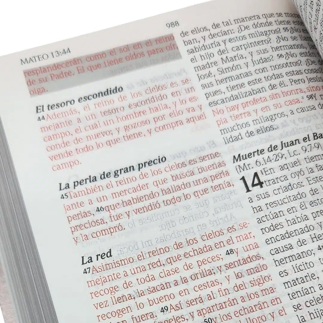 Biblia de promesas inspira letra grande Reina Valera 1960 9780789923288 Biblia de promesas inspira letra grande Reina Valera 1960 - Imagen 5
