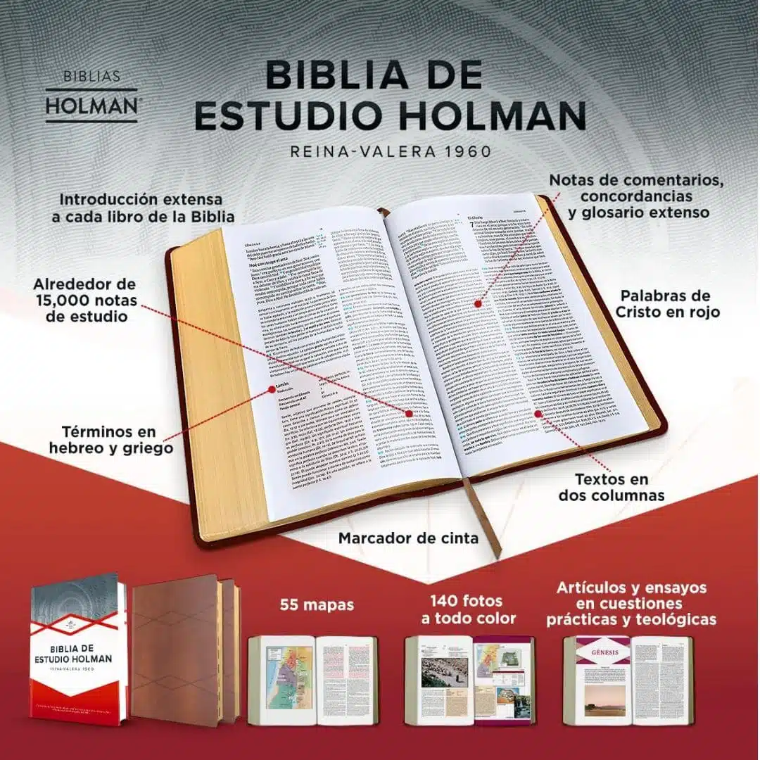 Biblia de Estudio Holman Reina Valera 1960, Símil Piel, Café 9781087783482 Biblia de Estudio Holman Reina Valera 1960, Símil Piel, Café - Imagen 5