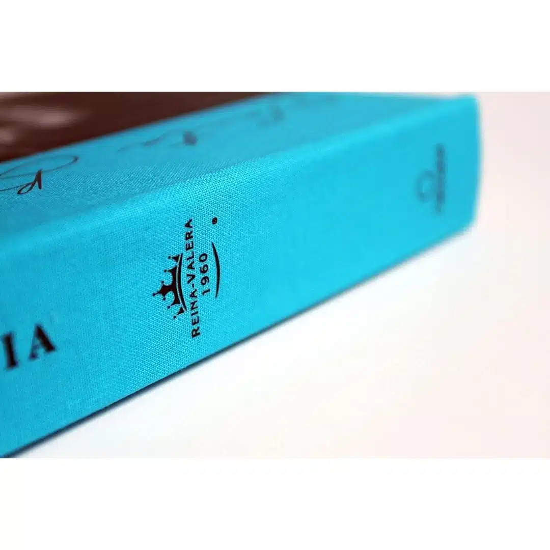 Biblia Reina Valera 1960, Tamaño Manual, Letra Grande, Tapa Dura en Tela, León de Judá, Azul 9781644737767 Biblia Reina Valera 1960, Tamaño Manual, Letra Grande, Tapa Dura en Tela, León de Judá, Azul - Imagen 4
