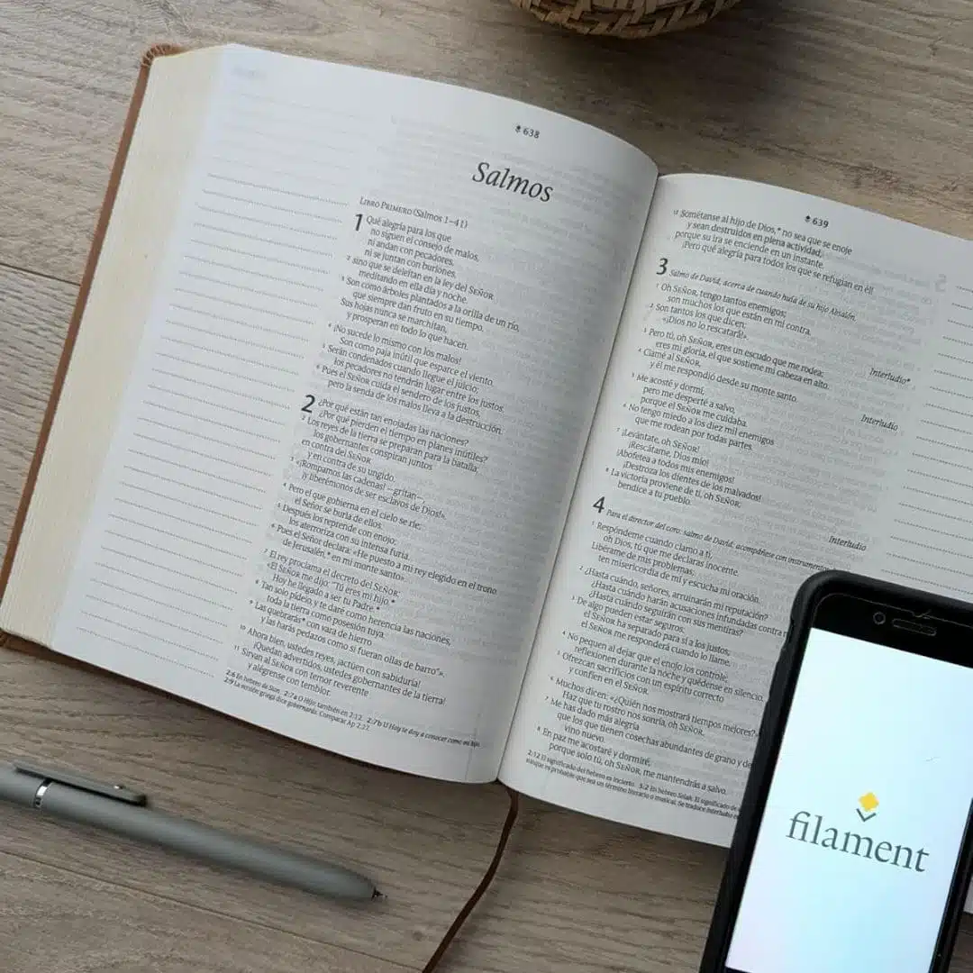 Biblia de apuntes NTV, Símil Piel, Café, León 9798400505614 Biblia de apuntes NTV, Símil Piel, Café, León - Imagen 5