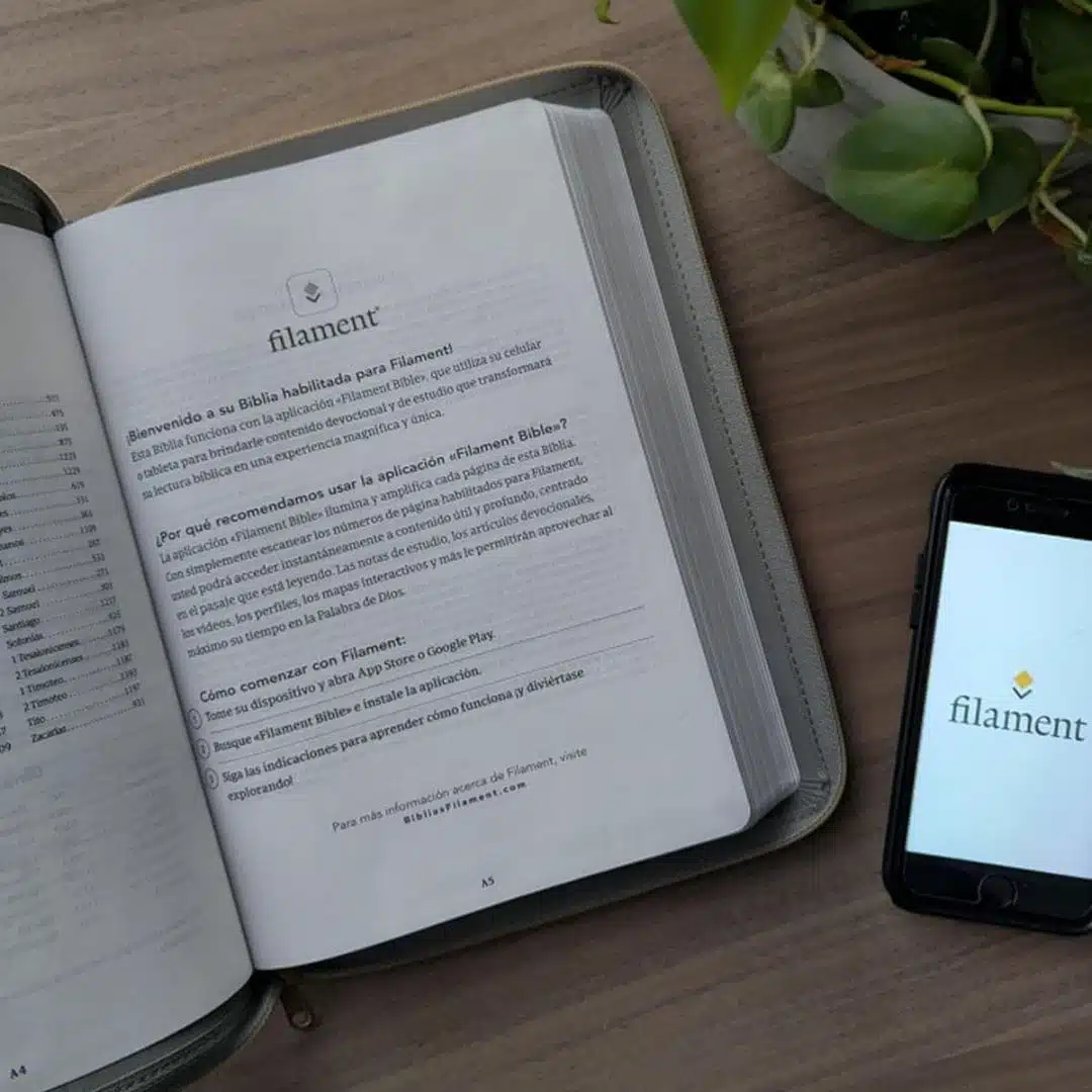 Biblia NTV, Letra Grande con Filament, Símil Piel, Cierre, Gris Claro 9798400506857 Biblia NTV, Letra Grande con Filament, Símil Piel, Cierre, Gris Claro - Imagen 4