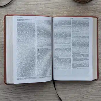 Biblia NTV, Tamaño Bolsillo, Símil Piel, Café 9798400512261 Biblia NTV, Tamaño Bolsillo, Símil Piel, Café - Imagen 4