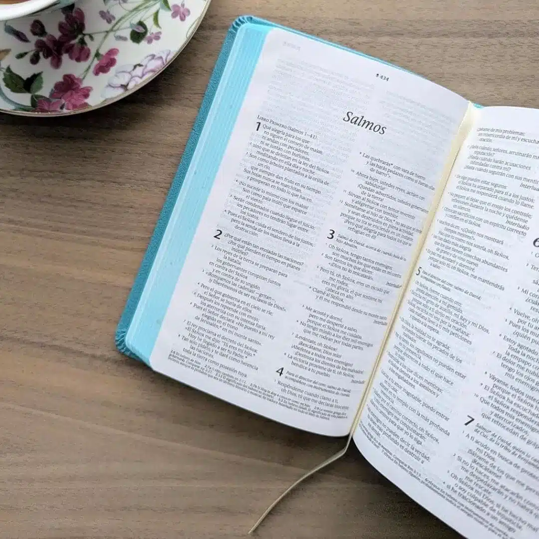 Biblia NTV, Tamaño Bolsillo, Símil Piel, Turquesa 9798400512278 Biblia NTV, Tamaño Bolsillo, Símil Piel, Turquesa - Imagen 4