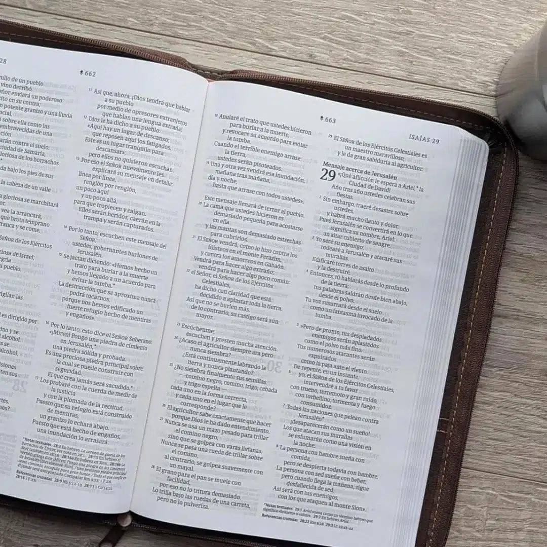 Biblia NTV, Ultrafina, Símil Piel, Cierre, Café 9798400513800 Biblia NTV, Ultrafina, Símil Piel, Cierre, Café - Imagen 4