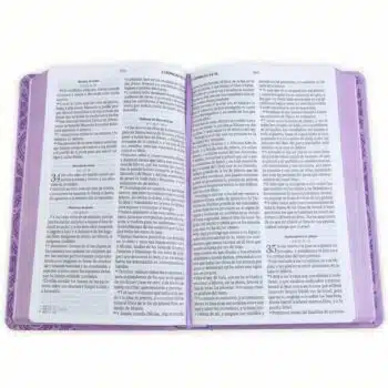 Biblia para Premios y Regalos Reina Valera 1960, Letra Grande, Símil Piel, Lila 9798893842852 Biblia para Premios y Regalos Reina Valera 1960, Letra Grande, Símil Piel, Lila - Imagen 2
