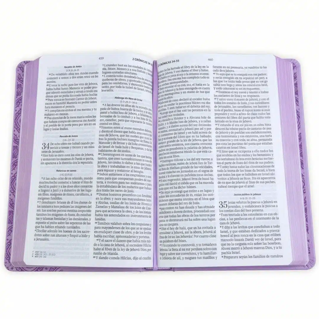 Biblia para Premios y Regalos Reina Valera 1960, Letra Grande, Símil Piel, Lila 9798893842852 Biblia para Premios y Regalos Reina Valera 1960, Letra Grande, Símil Piel, Lila - Imagen 2
