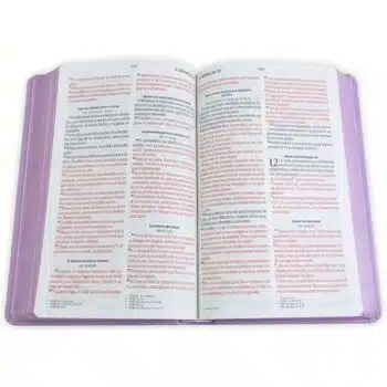 Biblia para Premios y Regalos Reina Valera 1960, Letra Grande, Símil Piel, Lila 9798893842852 Biblia para Premios y Regalos Reina Valera 1960, Letra Grande, Símil Piel, Lila - Imagen 3
