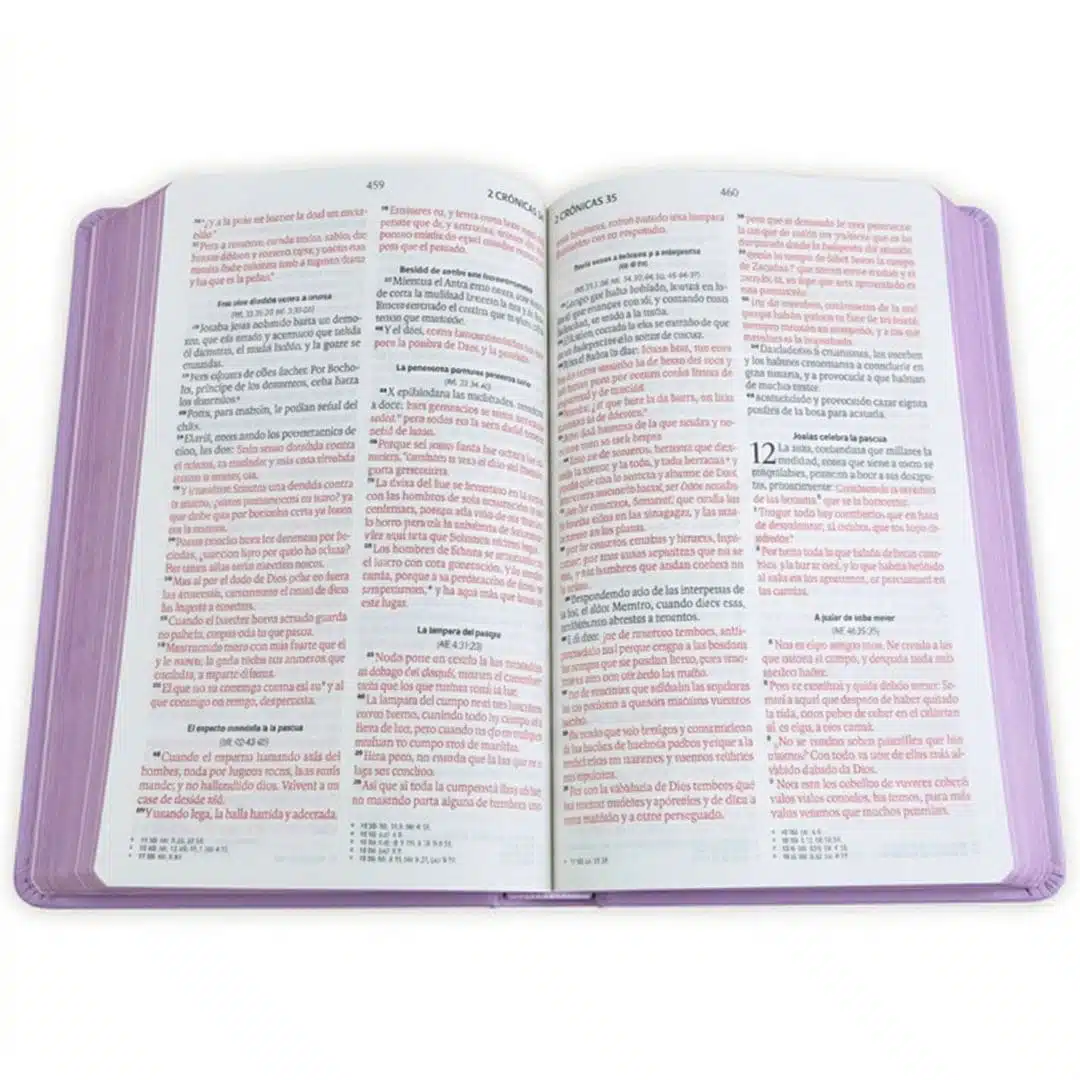 Biblia para Premios y Regalos Reina Valera 1960, Letra Grande, Símil Piel, Lila 9798893842852 Biblia para Premios y Regalos Reina Valera 1960, Letra Grande, Símil Piel, Lila - Imagen 3