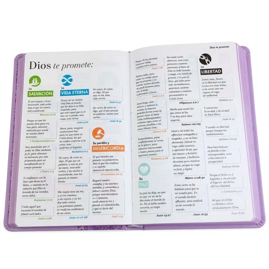 Biblia para Premios y Regalos Reina Valera 1960, Letra Grande, Símil Piel, Lila 9798893842852 Biblia para Premios y Regalos Reina Valera 1960, Letra Grande, Símil Piel, Lila - Imagen 4